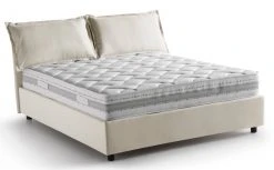 Talamo Italia Veronica Französisches