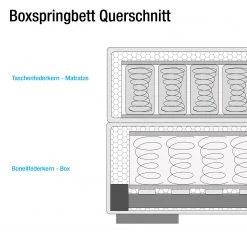 Naturoo Boxspringbett Marcel II - Webstoff in Samtoptik inkl. Beleuchtung - Eiche, teilmassiv - Schwarz - 200 x 200cm - H2 -Deutschland Betten Verkäufe 2022 1000175801 190703 16134900555 SKETCH GALLERYIMAGES P000000001000175801 sketch