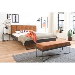 Meise.möbel Metallbett Boston IV - Kufen -Deutschland Betten Verkäufe 2022 1000352317 220617 020 MOOD DETAILS P000000001000352317 mood