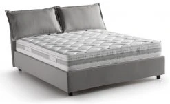 Talamo Italia Veronica Französisches