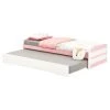 IDIMEX Tandembett LORENA 90x190 cm - Pink -Deutschland Betten Verkäufe 2022 4151d37661bd4499a3e51f54d8d6b56c